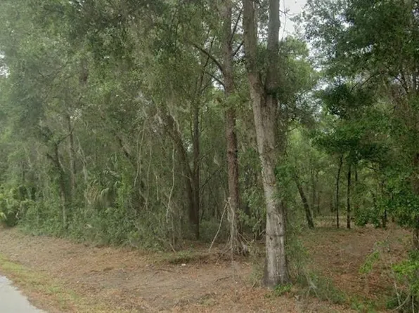 7585 W Leisure St Lot 21, Dunnellon, FL 34433