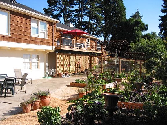 Summer living in the back garden