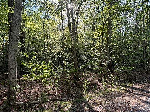 3rd image of LOT 81 Neptune Dr