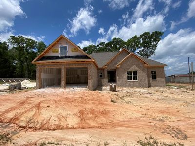 1401 Powerdam Rd, Newton, AL, 36352