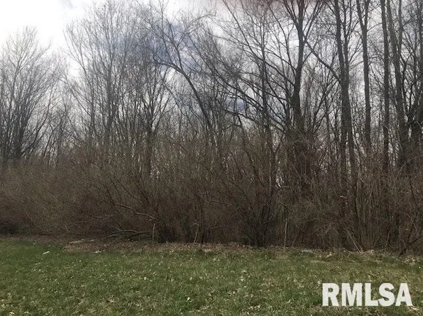 319 N Summit Dr, Washington, IL 61571