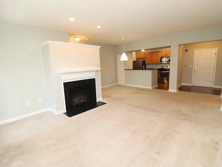 223 Eyam Hall Ln — Photo 6