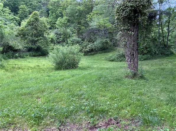 0 Stanton Ln, Ripley, WV 25271