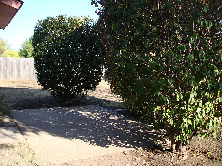 Shaded patio