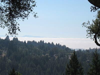 Foffy Day on the Bay