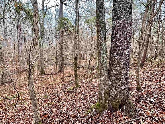 2nd image of 10078 Old Port Gibson Rd