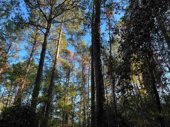 King Gerald, Scroggins, TX 75480