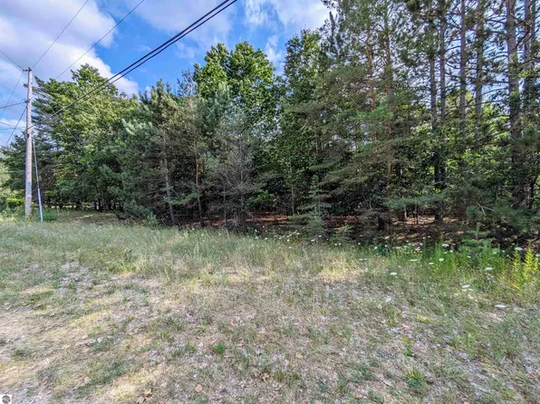 S Forest Lake Dr, Alger, MI 48610