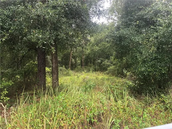 W Kicklighter Rd, Lake Helen, FL 32744