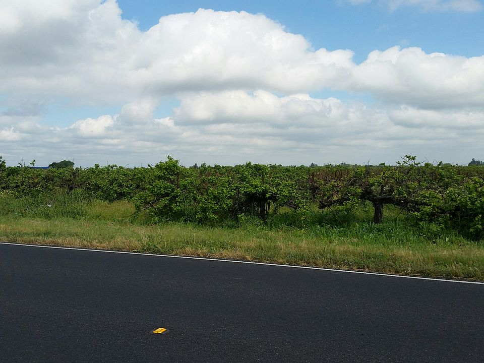 2nd image of E Peltier Rd
