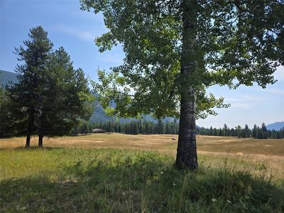 11 Bear Cub Ln, Trout Creek, MT, 59874