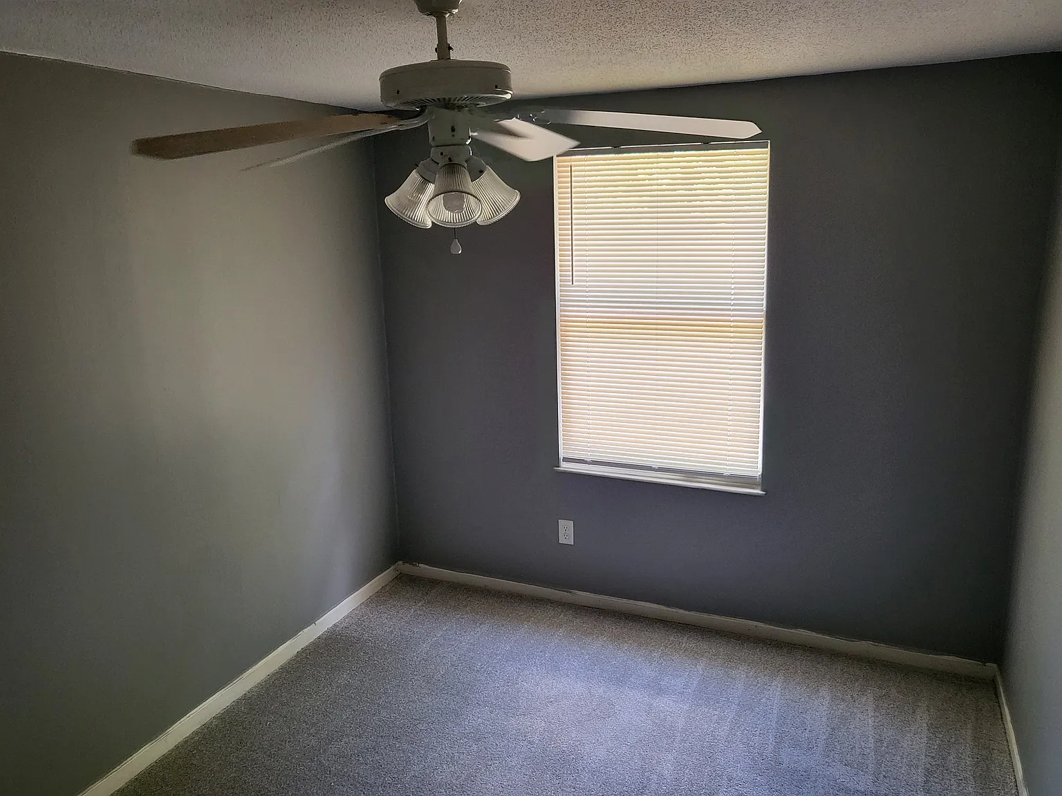 Stephanie Ln, Raleigh — Photo 4