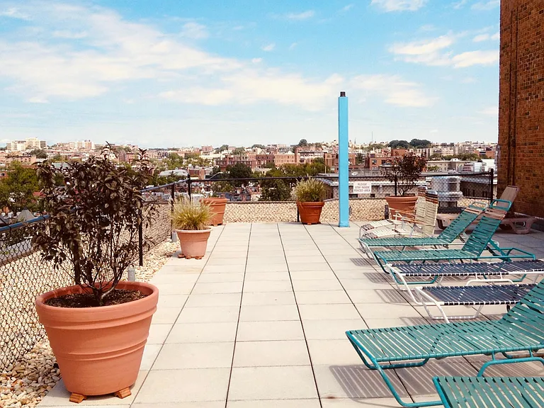 Rooftop Deck