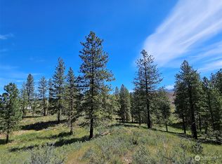 1 Horizon Flats Rd, Winthrop, WA 98862