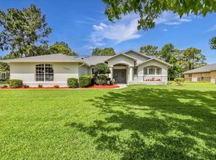 3289 Josef Ave, Spring Hill, FL 34609