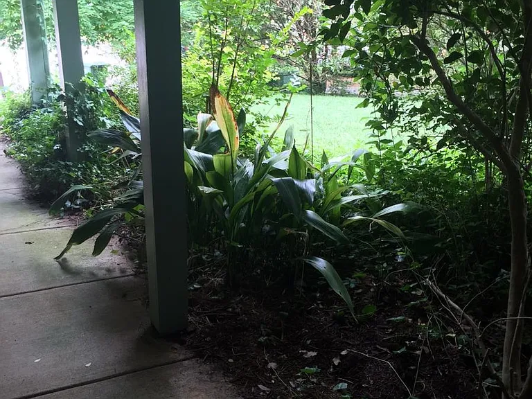 Front Walkway