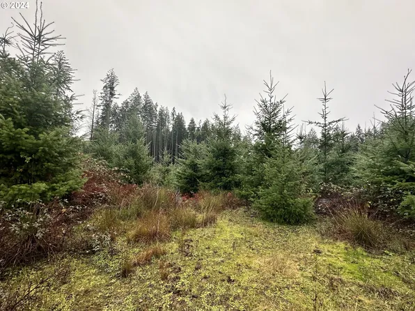 0 Rabinsky Rd, Scappoose, OR 97056