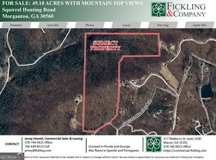 0 Squirrel Hunting Rd, Morganton, GA 30560