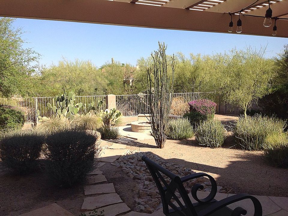 Patio View