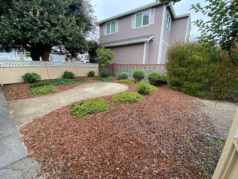 542 Pine Ave — Photo 28