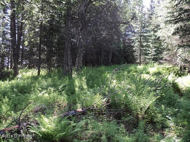2nd image of 1441 E End Rd