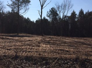 1 Mount Olive Rd., Melbourne, AR 72556