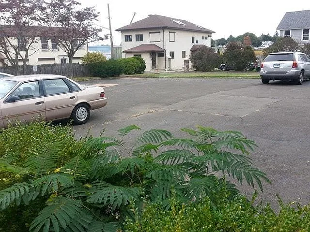 255 Harbor St — Photo 9