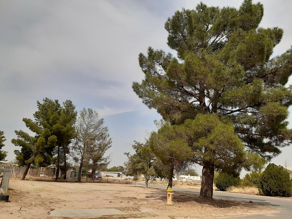 2nd image of 389 Morning Glory Dr