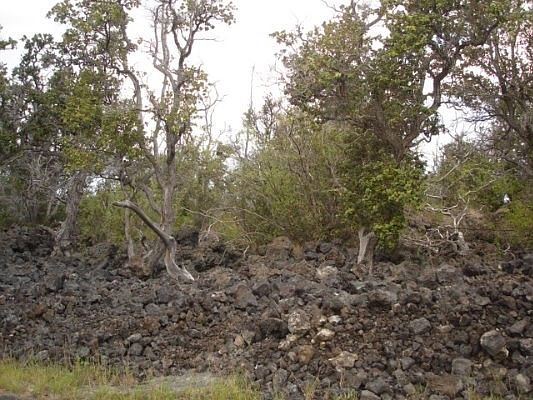2nd image of Paradise Pkwy Lot 26
