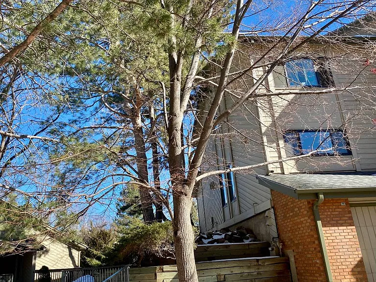 Quince Cir — Photo 6