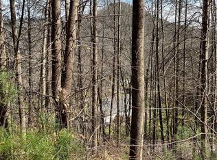 0 Running Deer Ln #65, Mars Hill, NC 28754