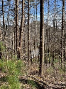 0 Running Deer Ln #65, Mars Hill, NC, 28754