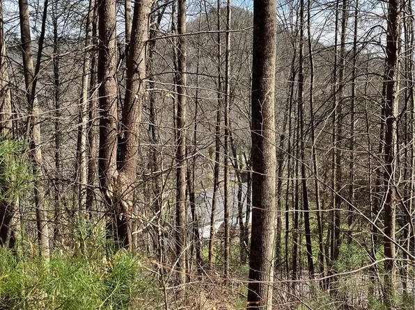 0 Running Deer Ln #65, Mars Hill, NC 28754