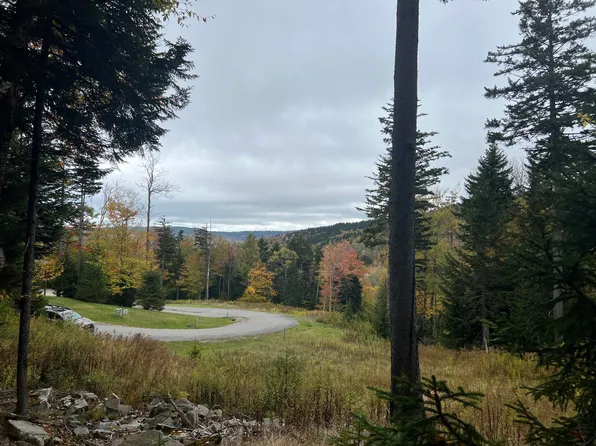 15 Silver Mountain Rd, Snowshoe, WV 26209