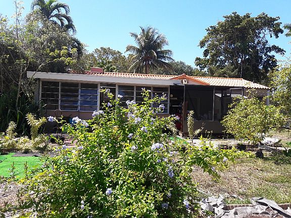 3rd image of 341 Palmetto Dr