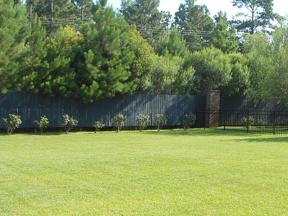 large private back yard