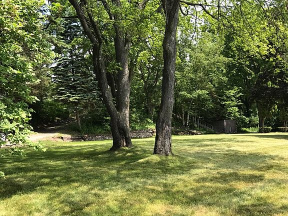 Trees edge back and sides