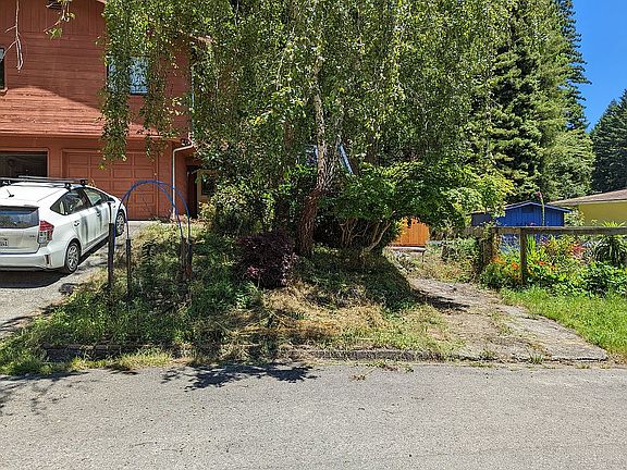 front yard w/ new cherry