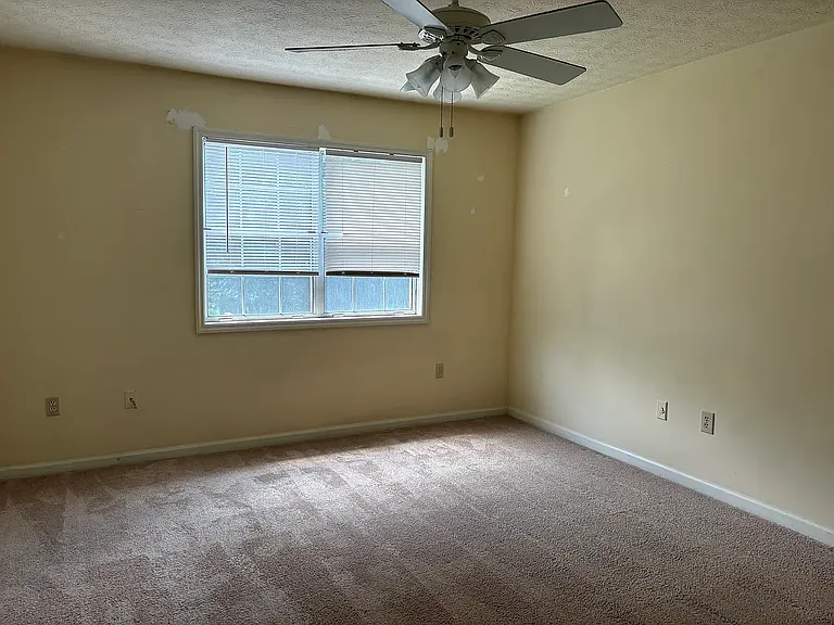 133 Sleepy Creek Dr — Photo 11