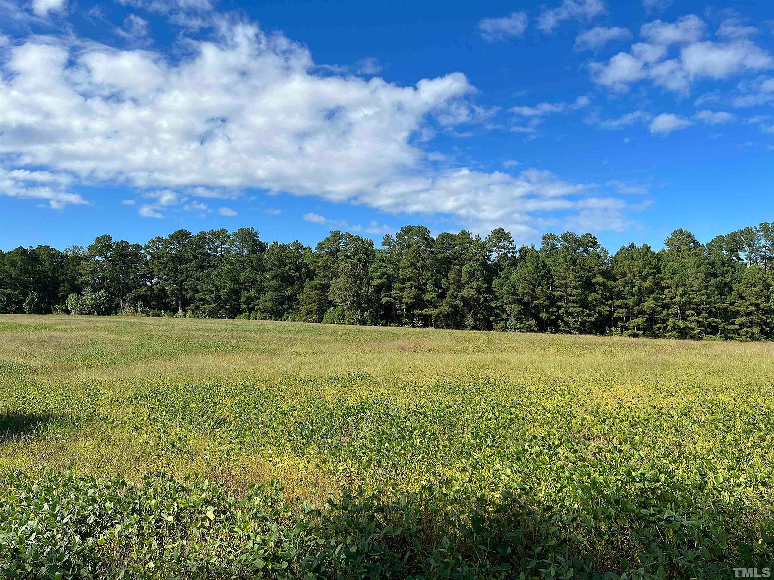 9 Peach Orchard Rd, Louisburg, NC 27549 Zillow