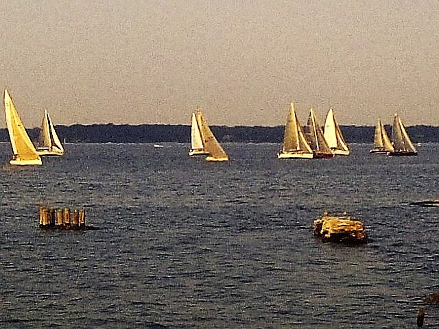SAIL BOAT CLUB RACING