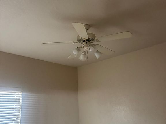 4th image of 10003 Amber Cir #10003