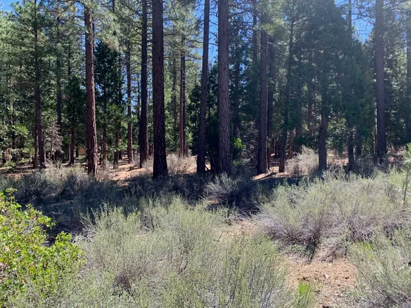 735 Yeargin Dr, Portola, CA 96122