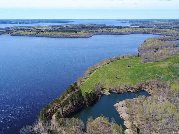 5th image of Chapman Rd