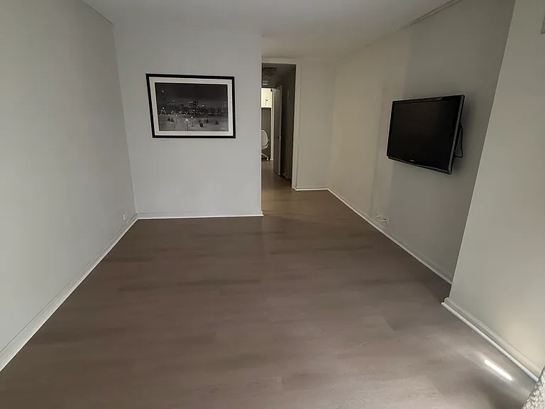 405 N Wabash Ave #4704 — Photo 56