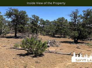 5 Gate Rd, Pinehill, NM 87357