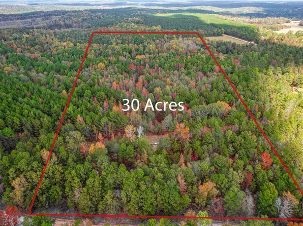 Sandy Run Rd Tract 7, Sparta, GA 31087