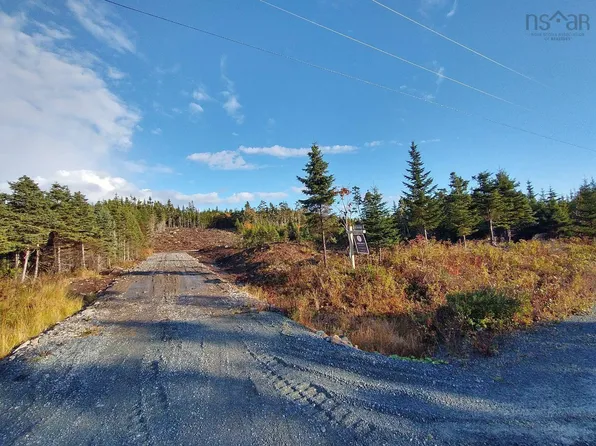 0 Ostrea Lake Rd, Pleasant Pt, NS B0J 2L0