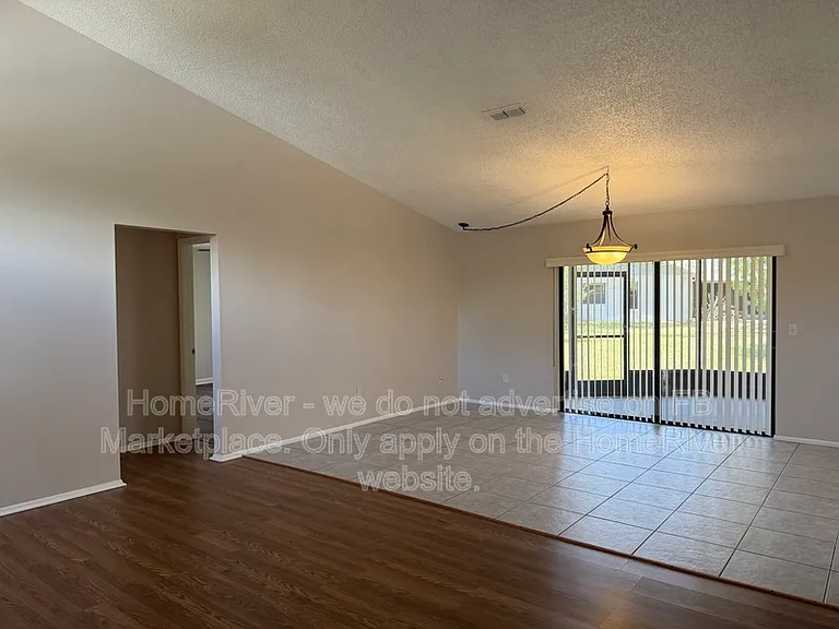 7337 Cone Shell Dr — Photo 5