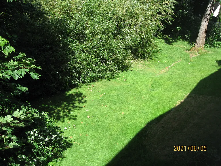 417 Bellevue Way SE #201 — Photo 11